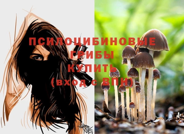 метадон Белокуриха