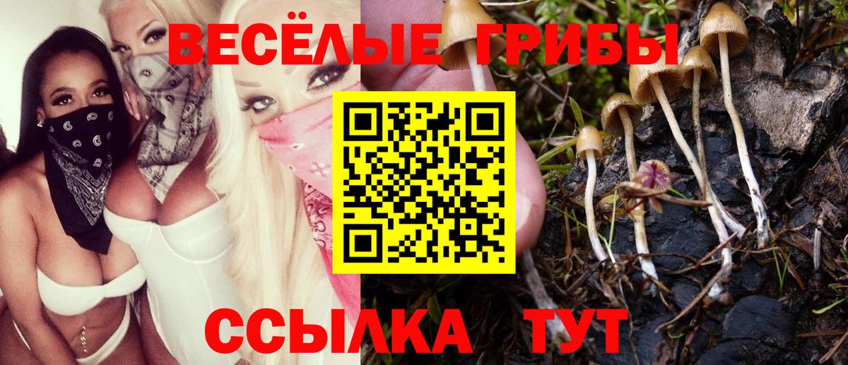 Сланцы  Галлюциногенные грибы MAGIC MUSHROOMS  Вход с VPN 