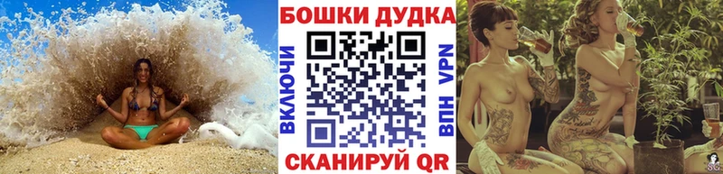 Шишки марихуана планчик Сланцы